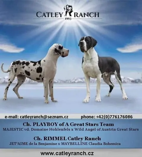 Catley&nbsp;Ranch vrh Y
