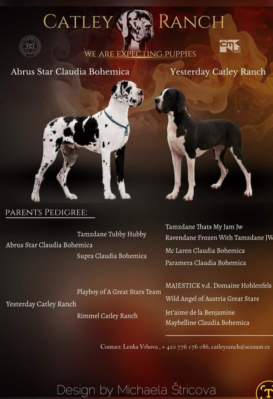 Catley Ranch vrh A2