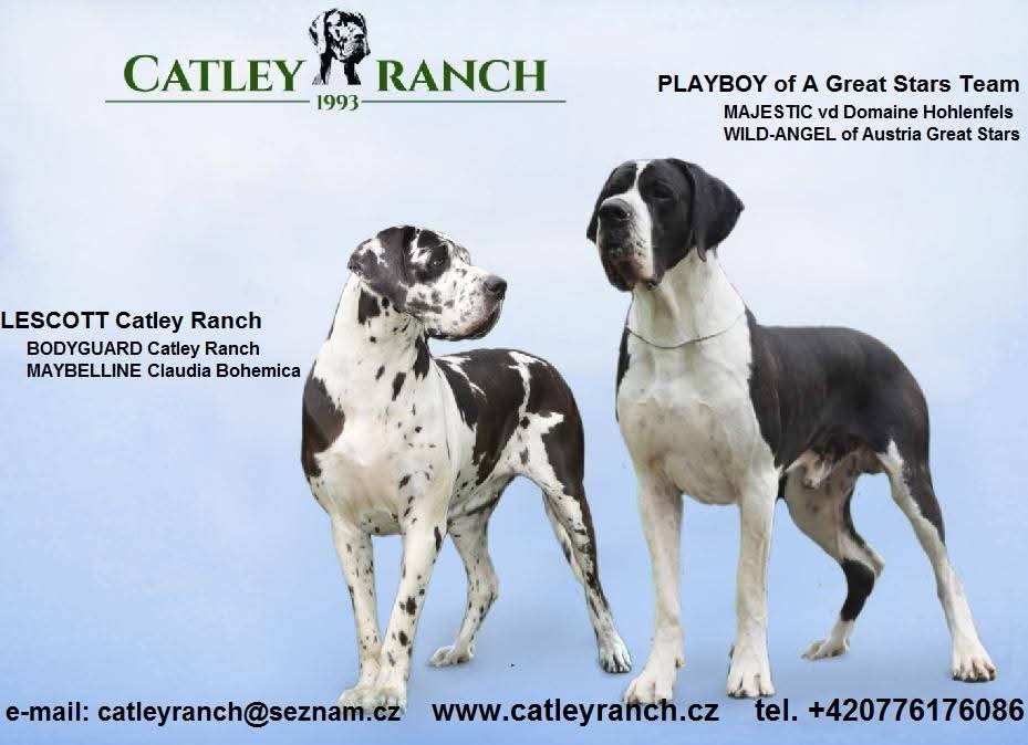 Catley Ranch vrh W