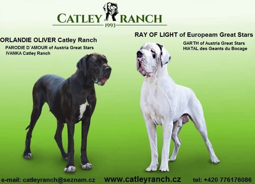 Catley Ranch vrh X