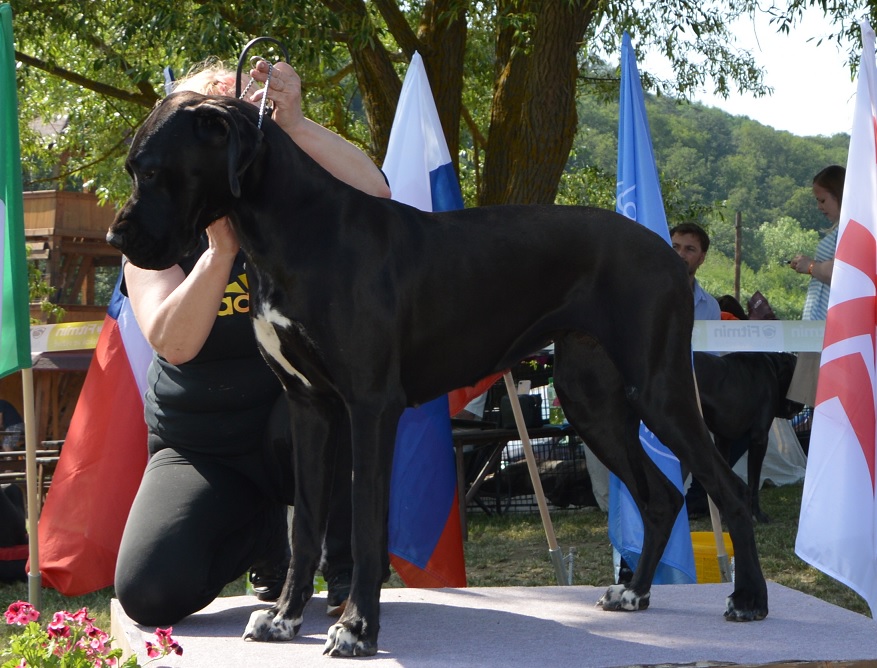 Catley Ranch vrh O 2017 - fotografie 20